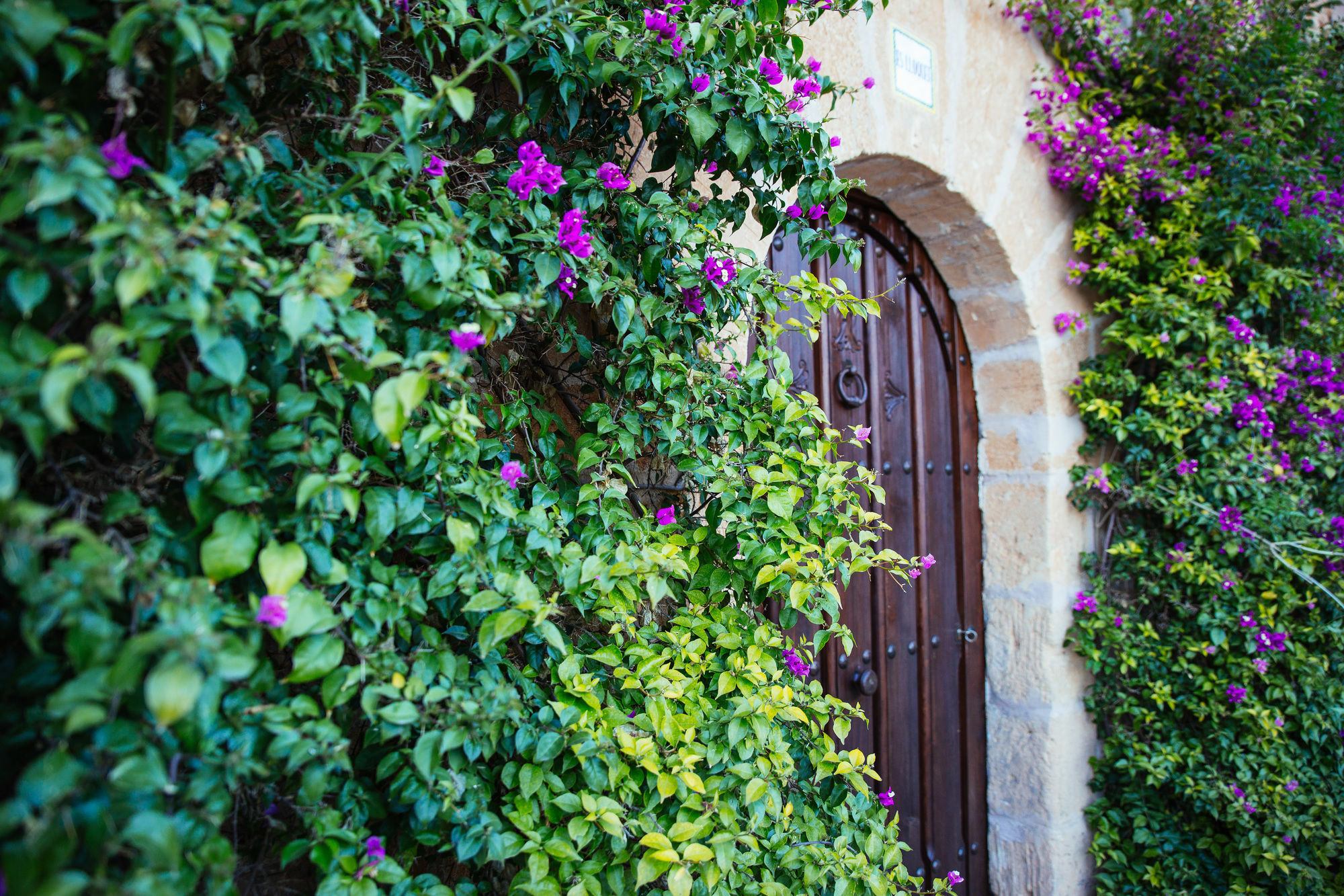 Es Lloquet (adults Only) Campos (Mallorca)